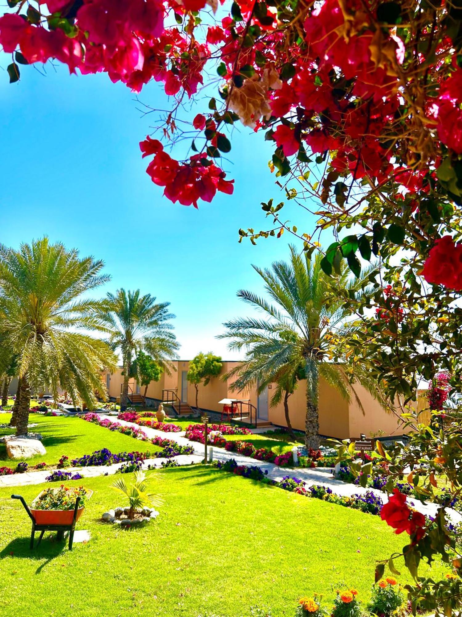 The View Hotel Al Hamra Luaran gambar