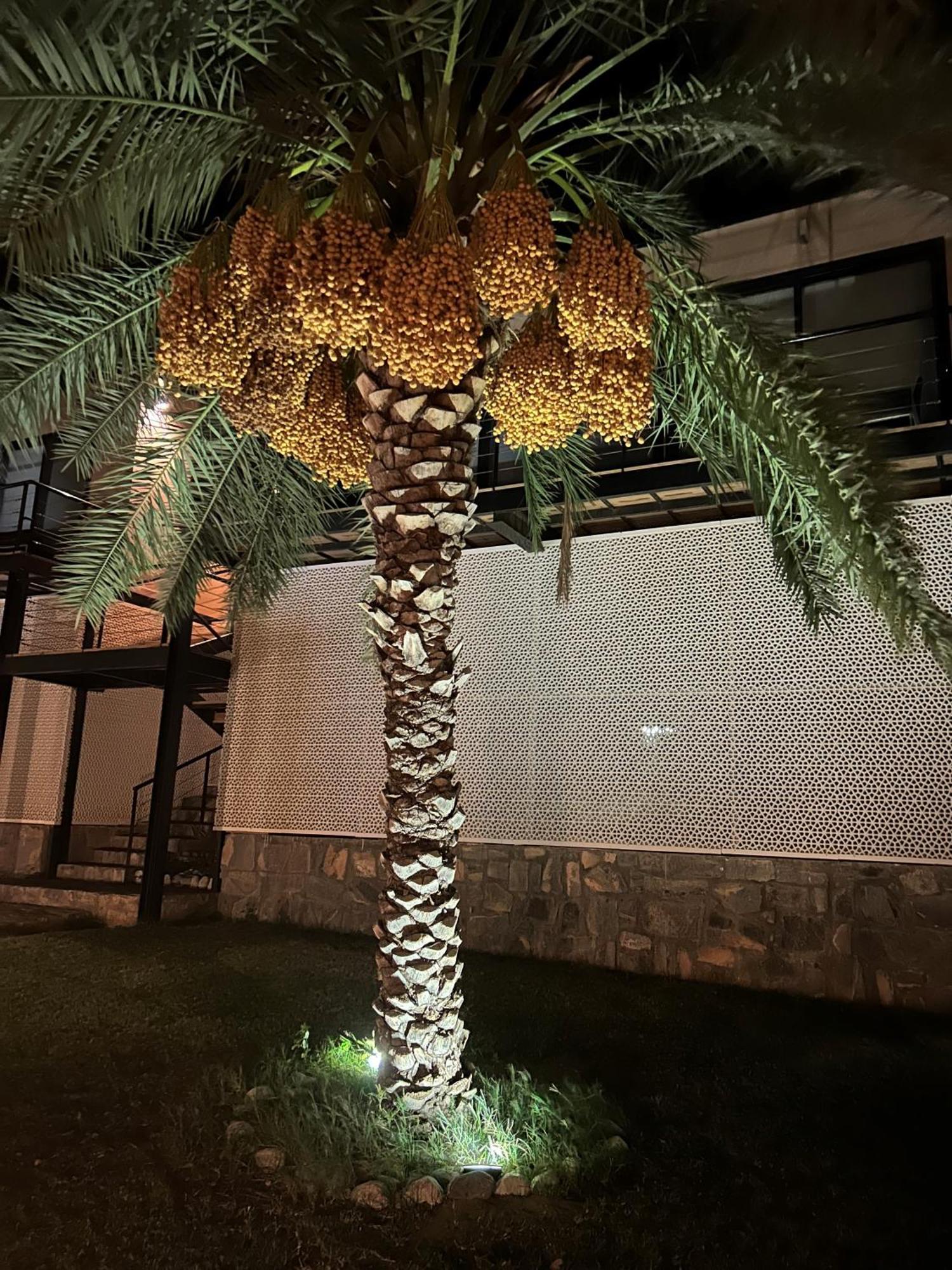 The View Hotel Al Hamra Luaran gambar